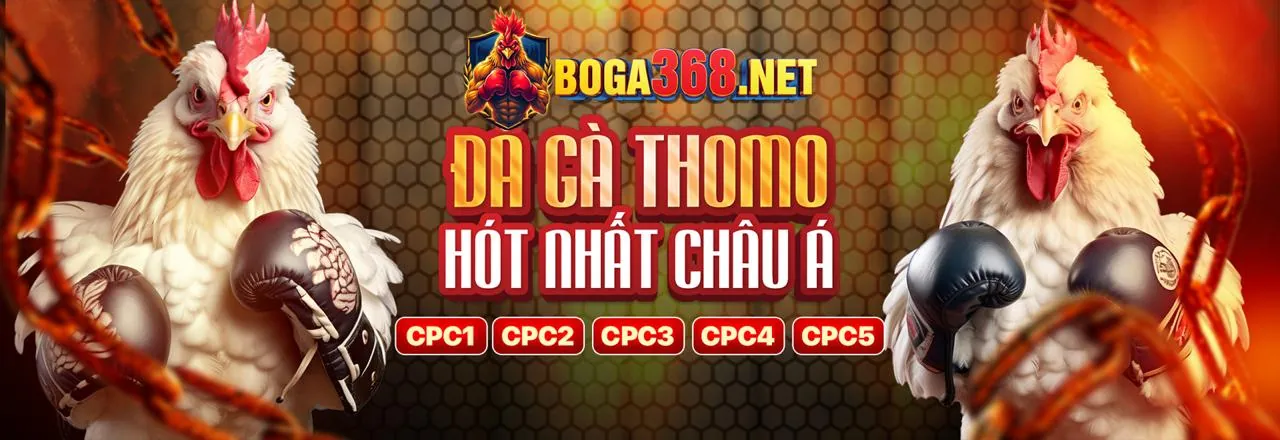 Cá cược thể thao b66 uy tín